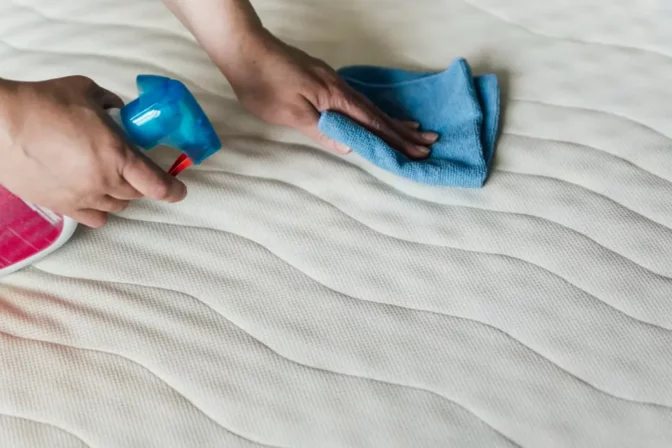 Punaises de lit : 7 signes qui ne trompent pas (et pourquoi agir vite)