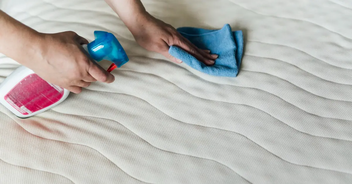 Punaises de lit : 7 signes qui ne trompent pas (et pourquoi agir vite)