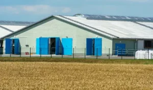 Bâtiment d'élevage suivi en dératisation pour les professionnels