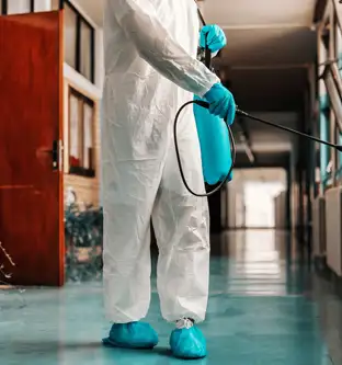 Désinsectisation d'un couloir dans des locaux professionnels